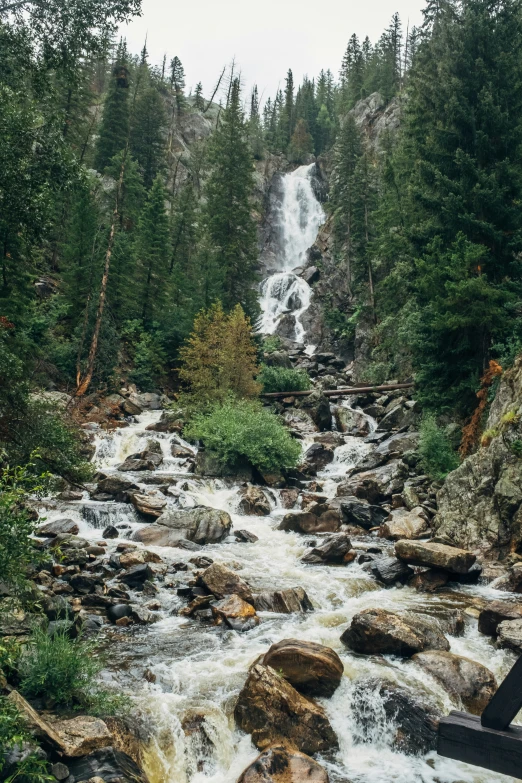 the rapids of the river are very close to the forest