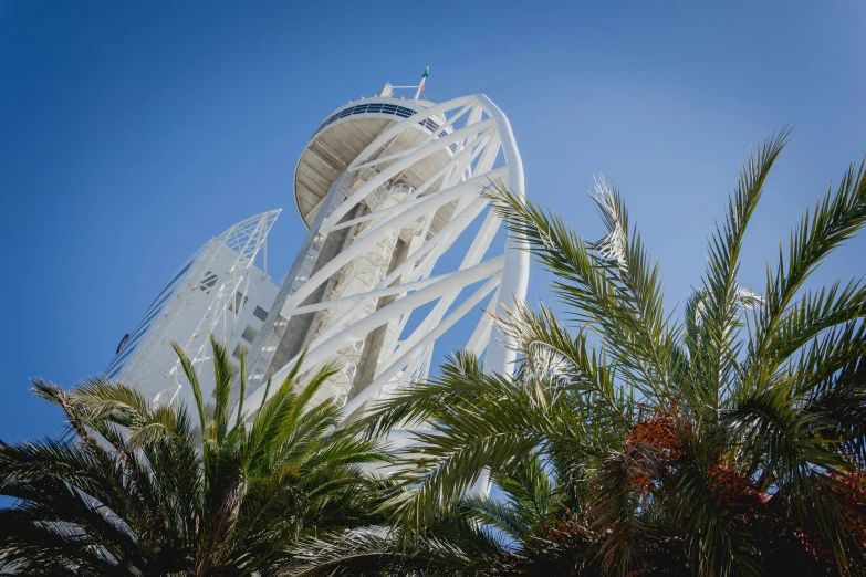 some trees and palm trees and a tall building