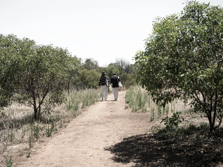 two people are walking on a dirt path with trees