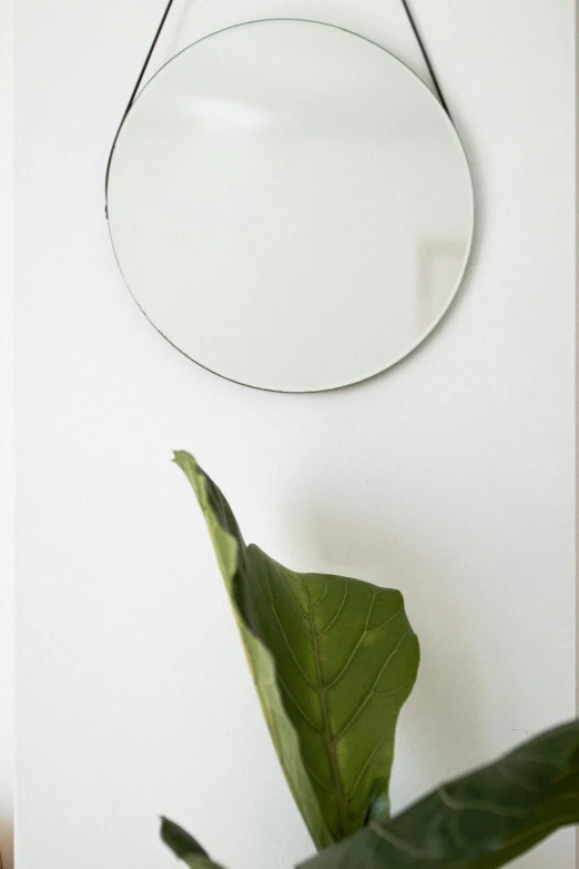 there is an oval mirror on the wall above a plant