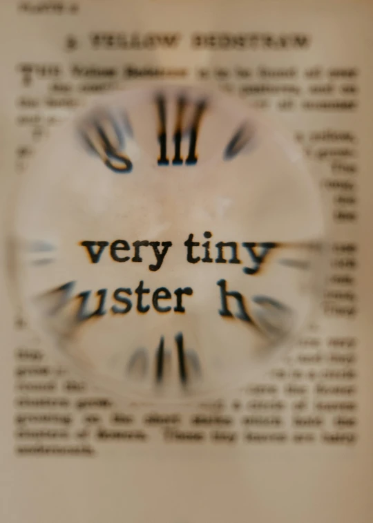 this is an image of a very tiny sister book