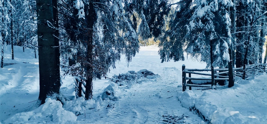 the snow is covering the path in the woods