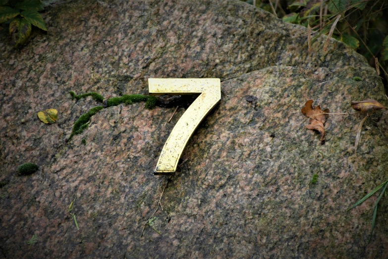 an odd number is lying on some rocks