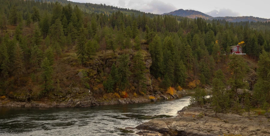 a scenic view of a body of water and forest