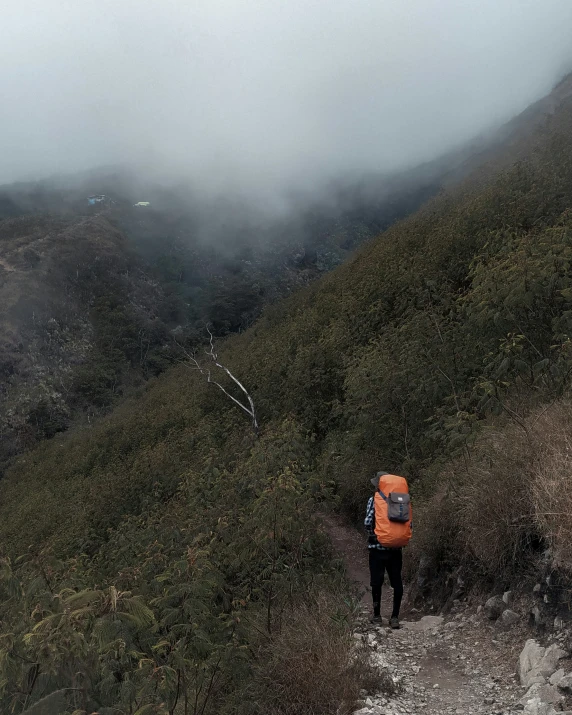 a man walks down a steep grassy mountain trail