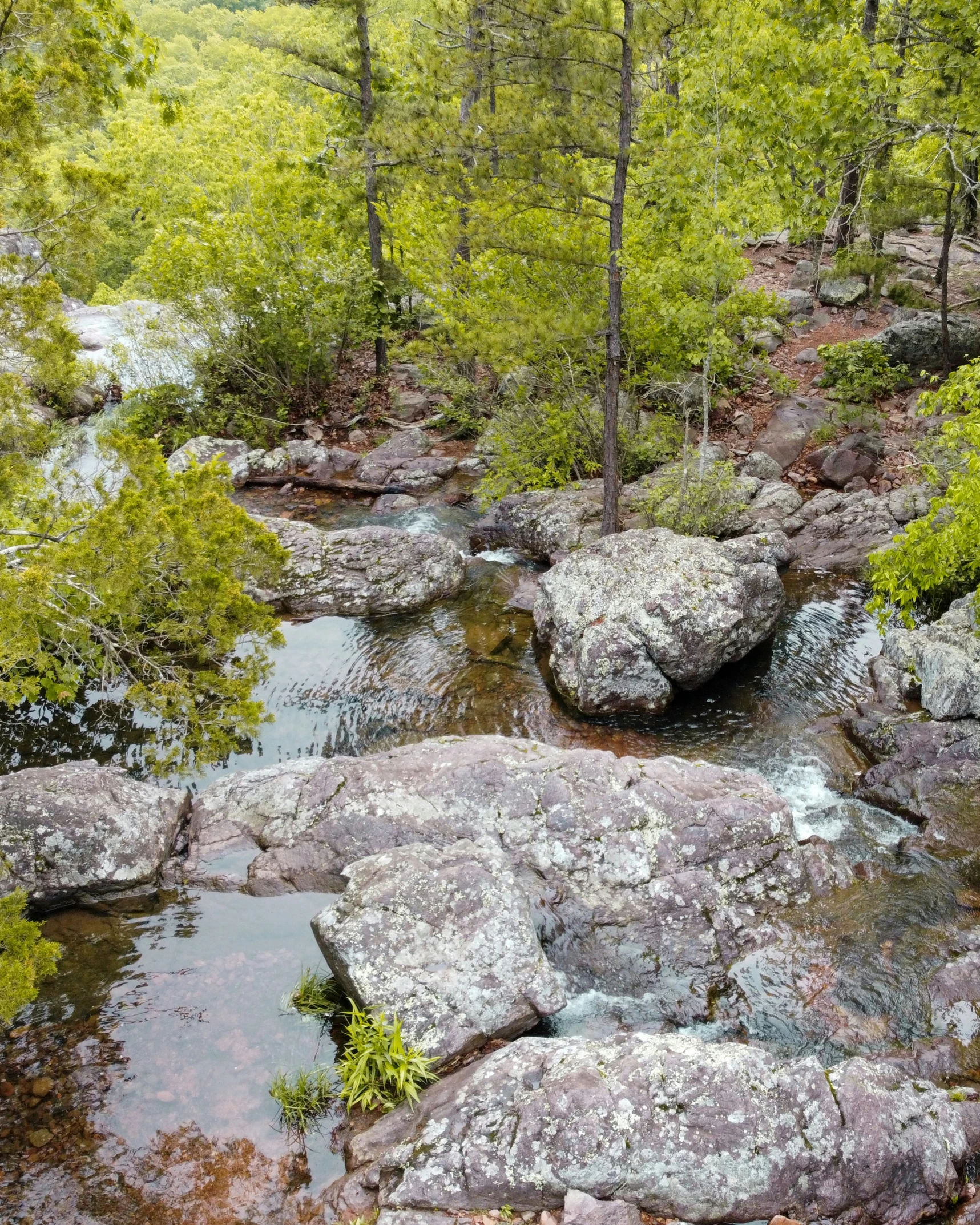 a beautiful mountain stream surrounded by rocks and trees