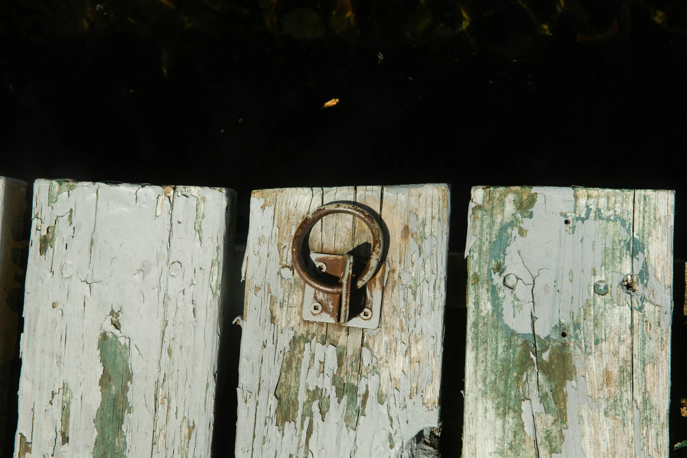 a bird is walking down the wooden gate