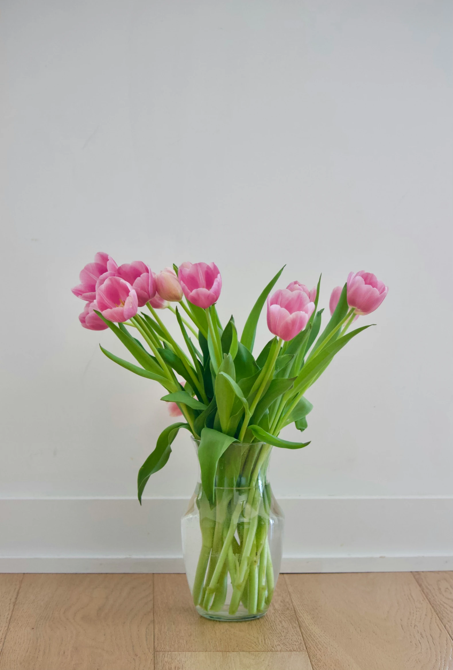 a vase with a plant in it on a table