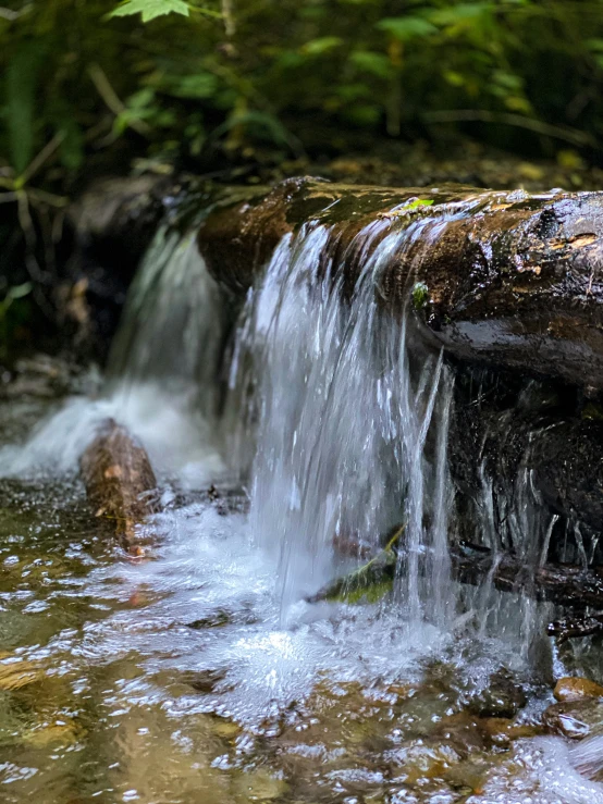 a waterfall in a forest with no water