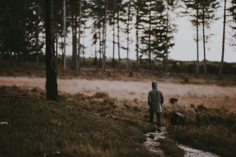 man walking through an open grassy area in the woods