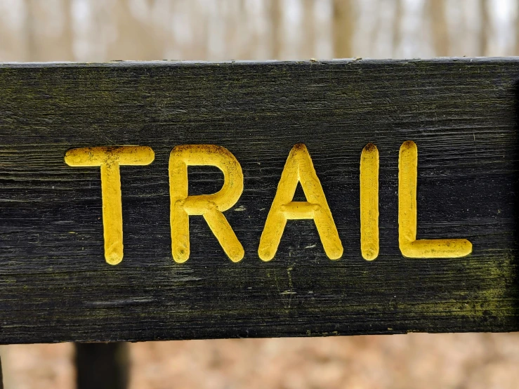 an out of focus pograph of a wooden bench with a trail written on it