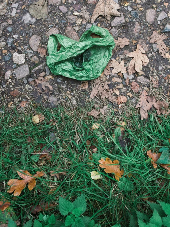 a green plastic bag with leaves on the ground