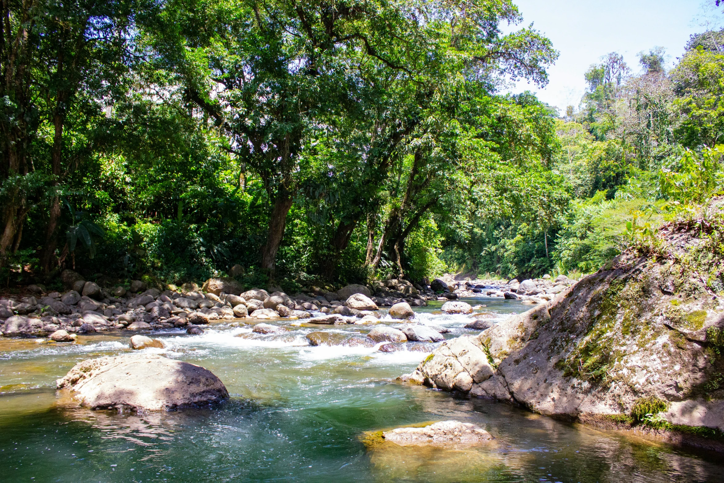 the river is flowing through the trees and rocks