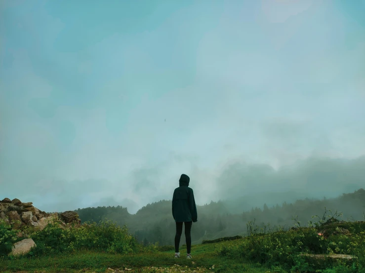 a person standing on a lush green hillside