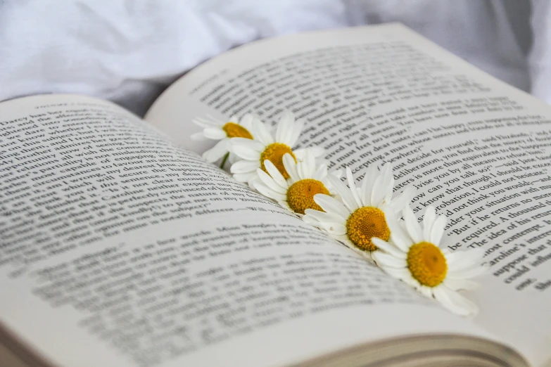 the book has white flowers placed on it