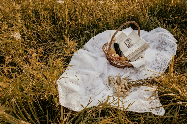 a book and bread sit on a towel in some tall grass