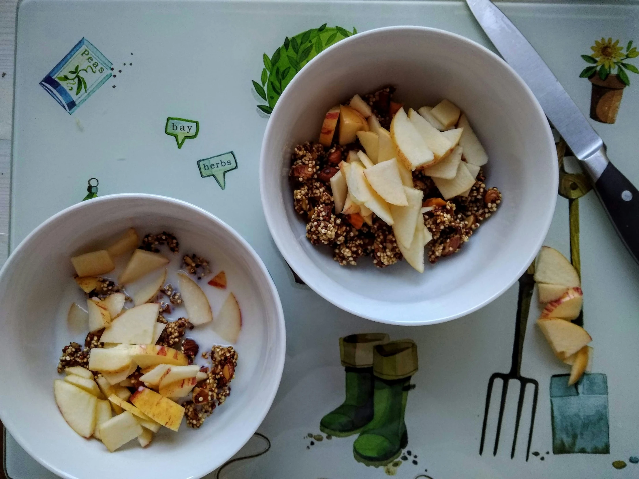 two white bowls with apple slices and oatmeal on top