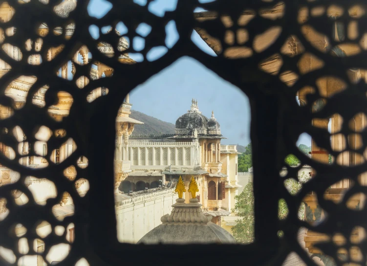 a building seen through the intricate glass