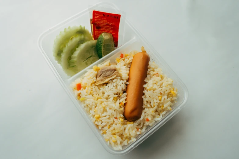 a plastic container filled with rice and a  dog