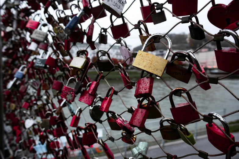 many padlocks attached to a fence with water in the background