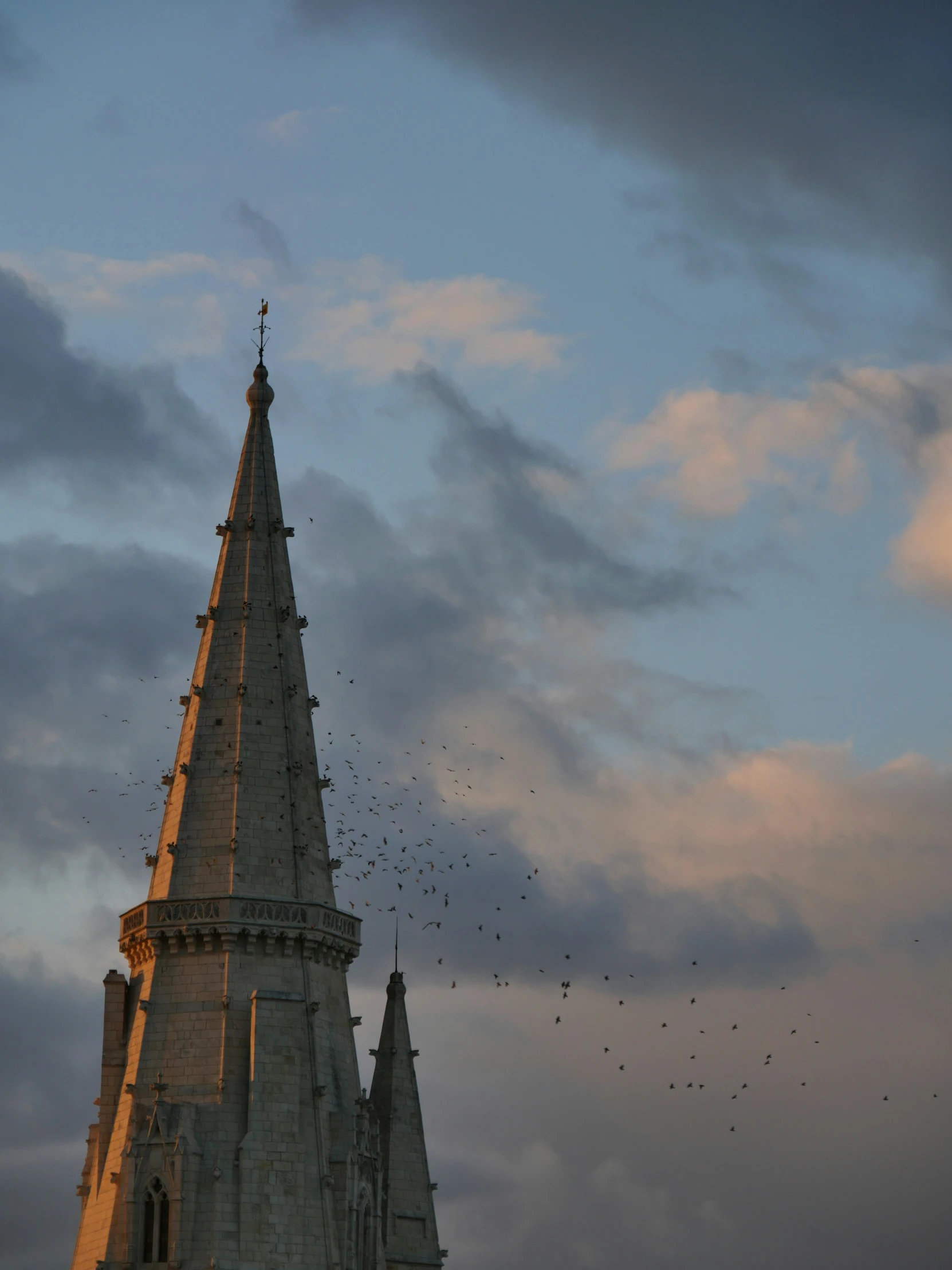 birds fly close together in the sky near a cathedral spire