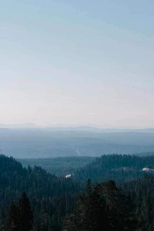 the view from the top of a steep cliff looking into the forest