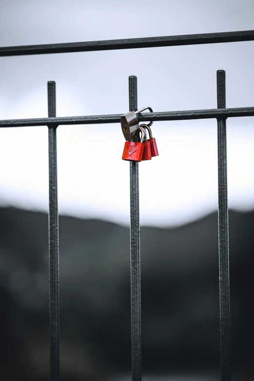 an iron fence with a locked padlock and two red padlocks