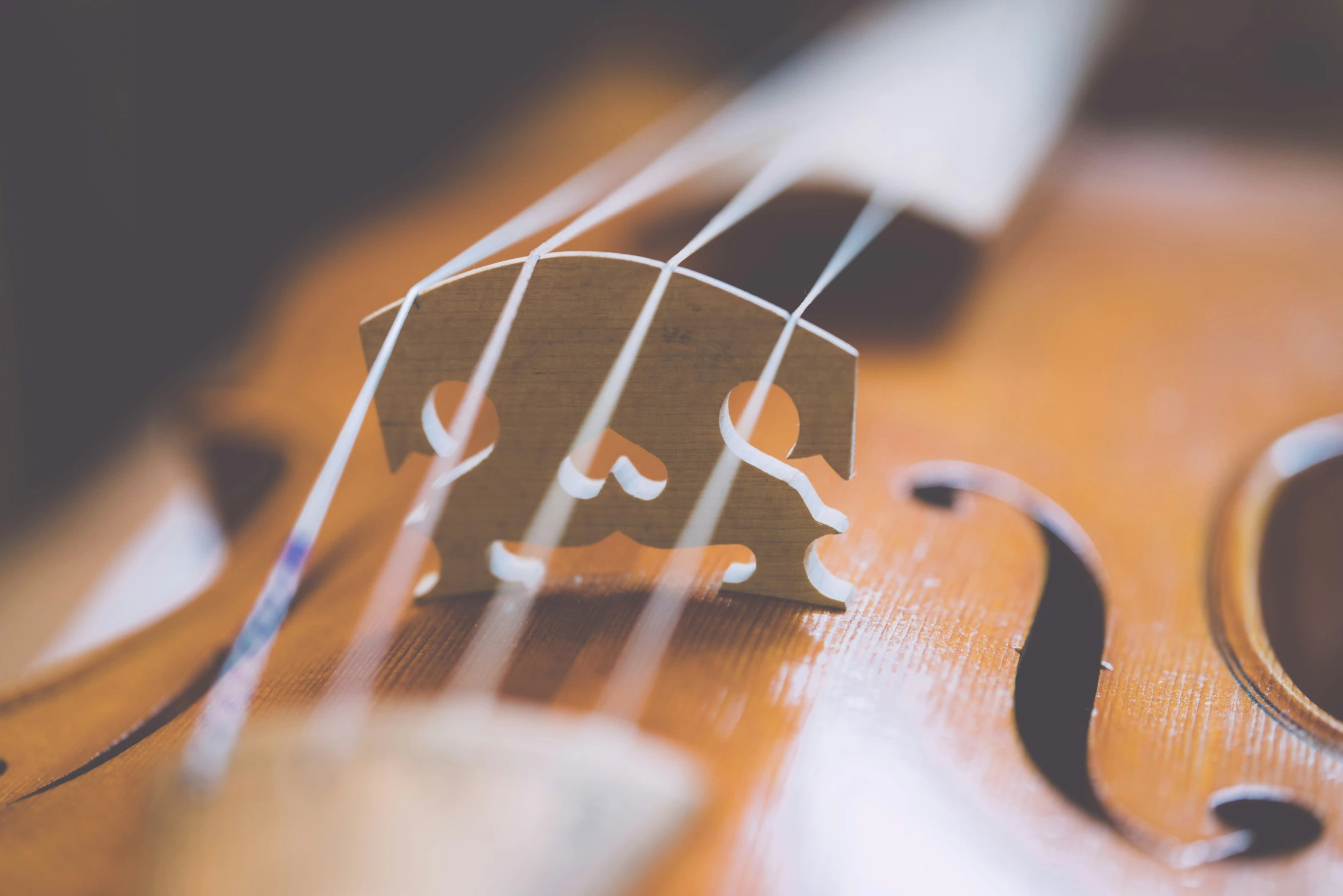 a violin with the strings cut out to show an elephant logo