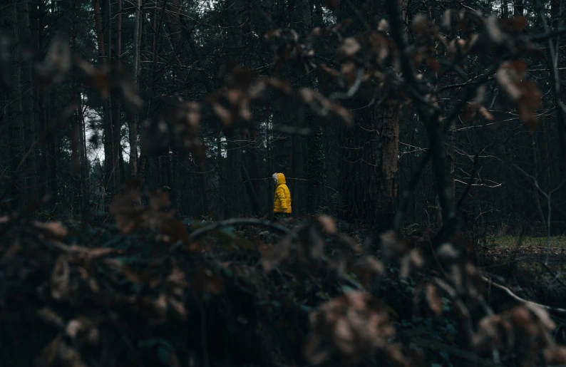 a man with a yellow raincoat walks in the woods