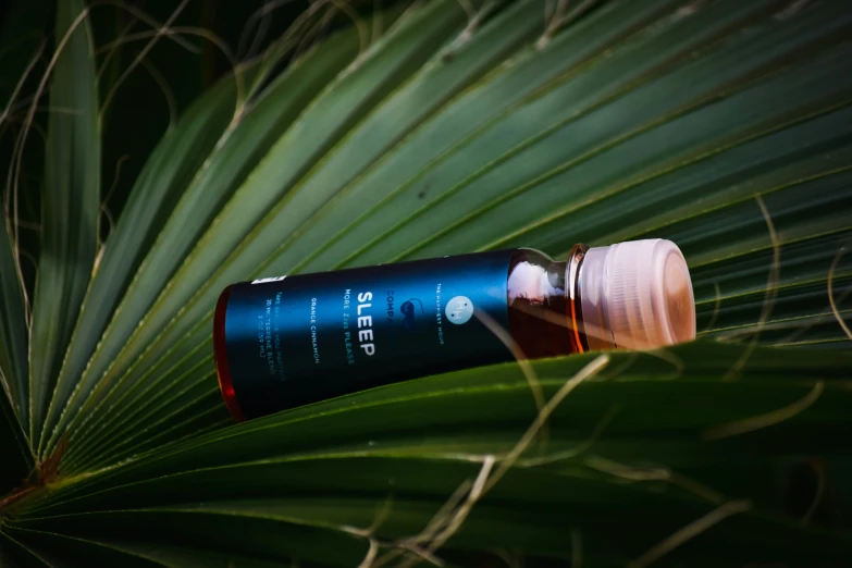 the small bottle is sitting in front of the large green plant