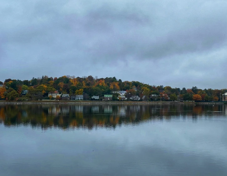 a lake that has some water and trees