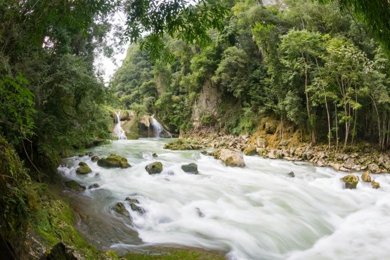 water is moving through the forest to a waterfall