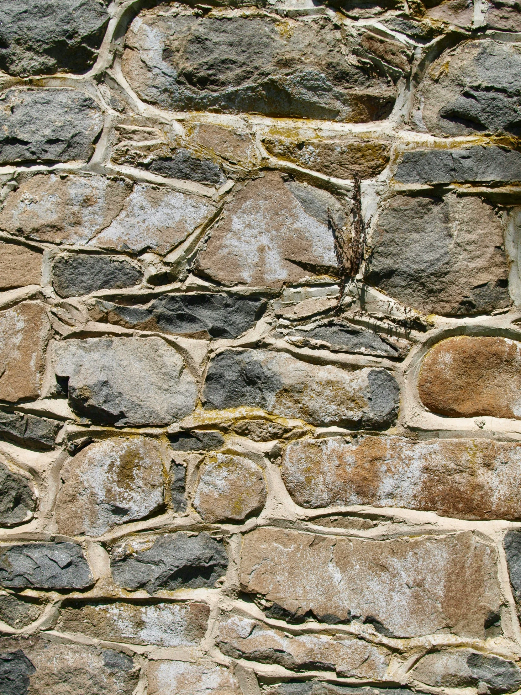 a small bird sitting on top of a window in a stone wall