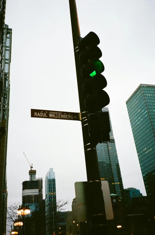 a pole with signs reading raskin avenue in the city