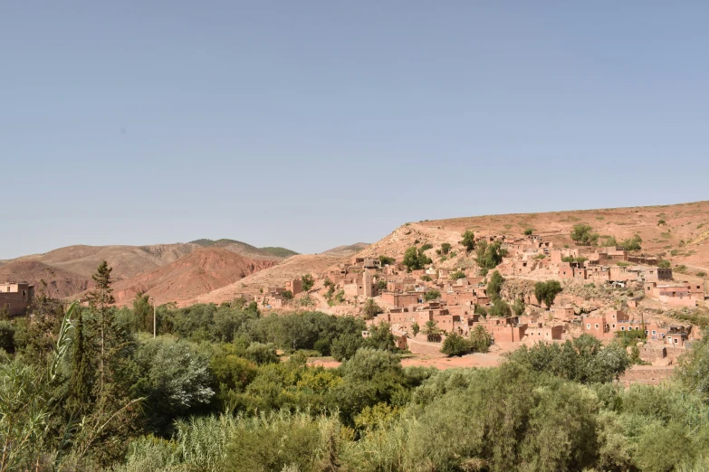 the town and hill of the desert is dotted by trees