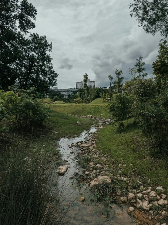 small stream in grassy area with trees and building