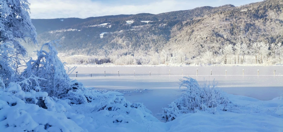 a winter landscape covered in snow with trees