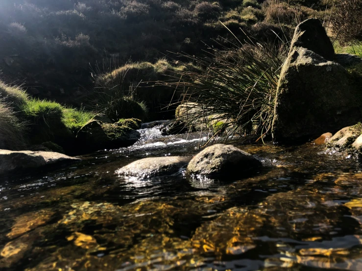 a stream of water with rocks and bushes beside by