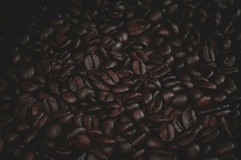 coffee beans gathered around each other in the middle