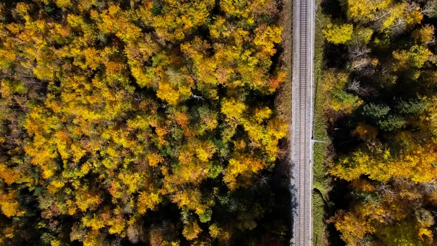 aerial view of railroad passing through autumn trees