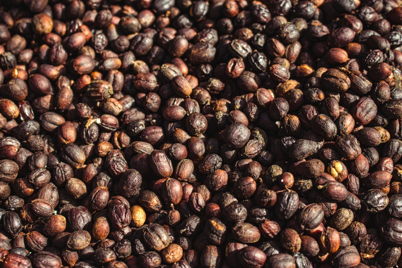 a big pile of nut like objects sit on top of the table