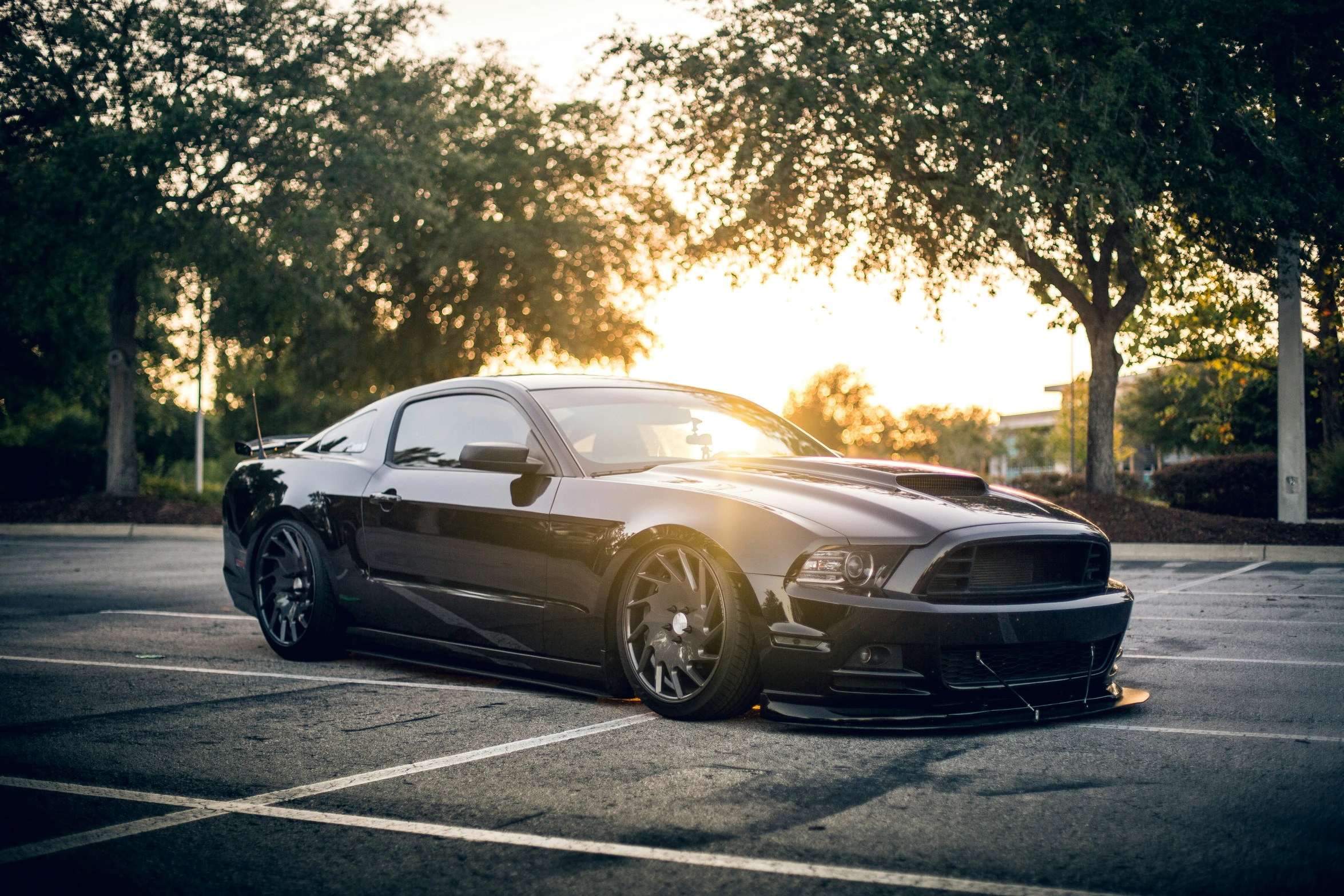 a black mustang car is parked in a parking lot