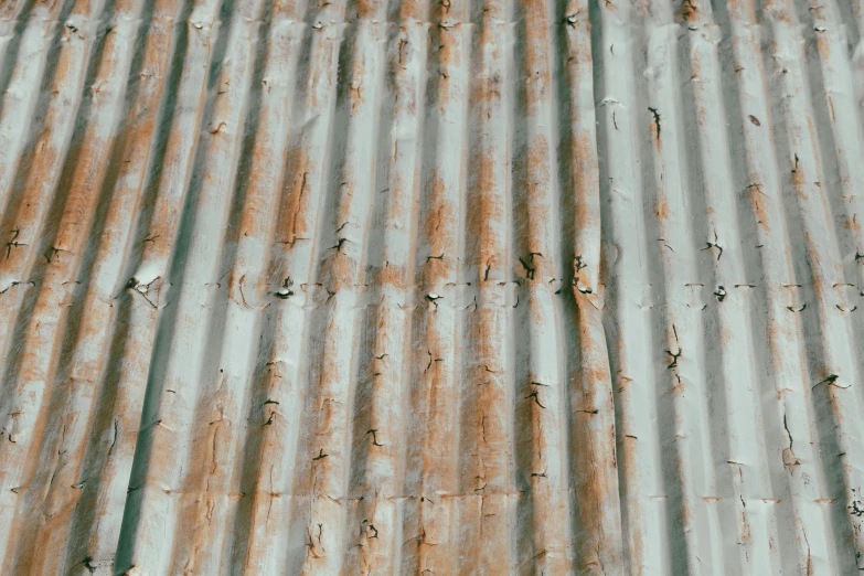 a person standing next to a brown wall