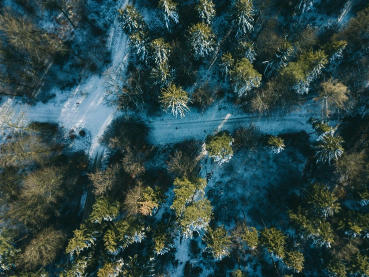 the aerial view shows a snowy road running through an area of tall trees