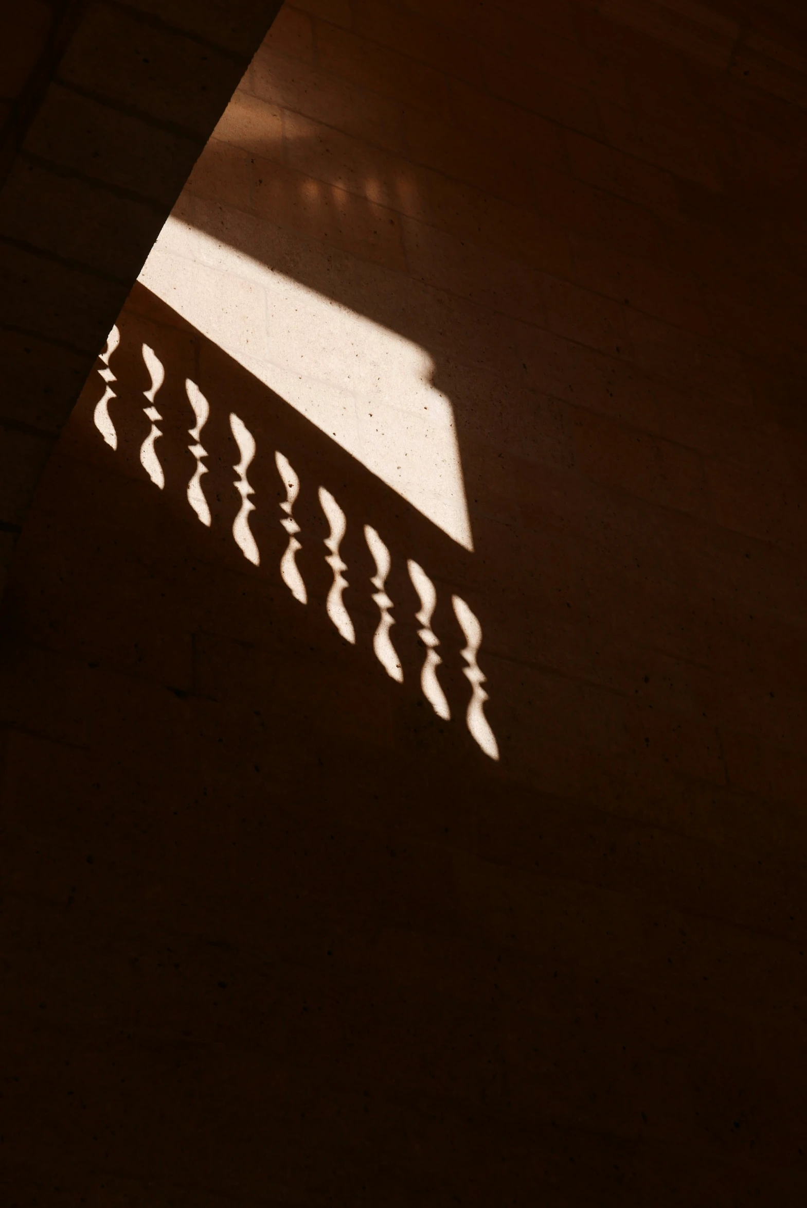 the shadow of some sort on a wall in the middle of it