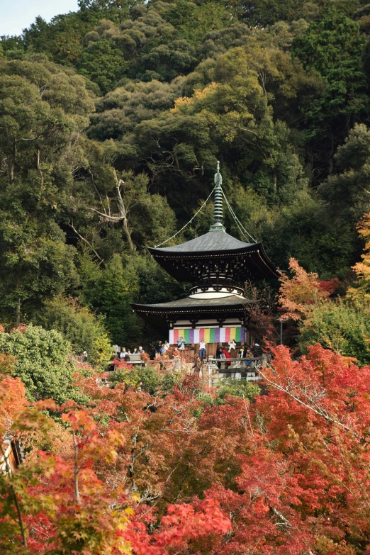 a pagoda stands high on a hill surrounded by colorful foliage