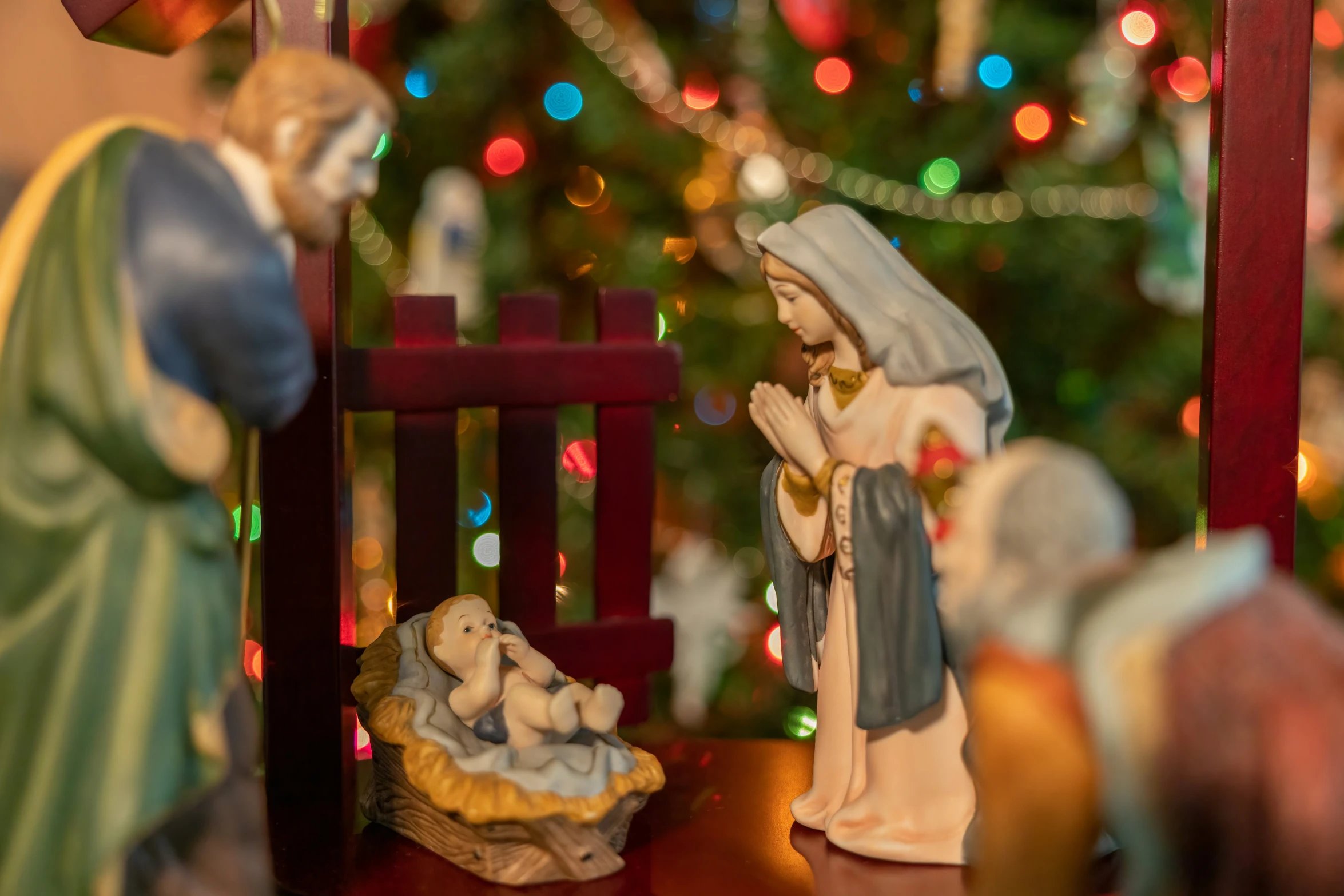 a nativity scene is shown with a tree in the background