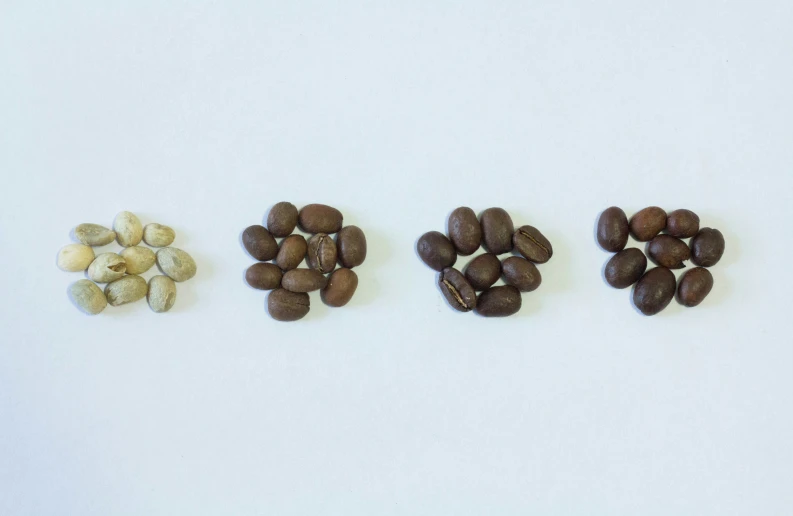 five grains of different varieties of nuts on a white table