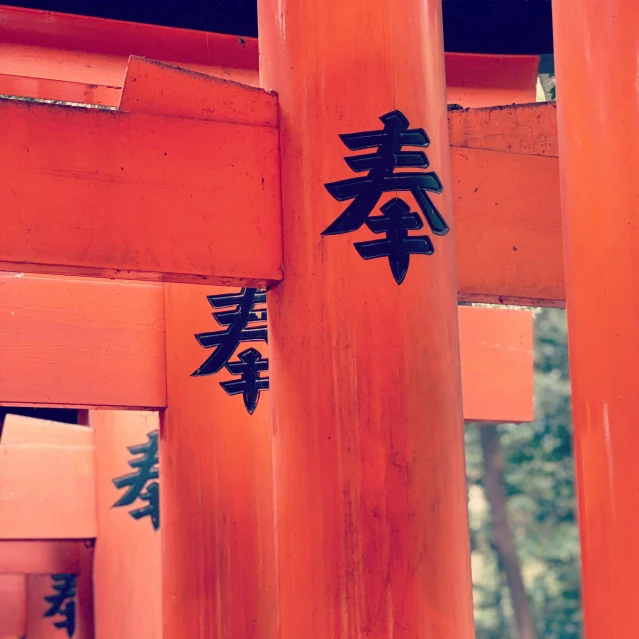 the red poles and decorations give shade to the trees