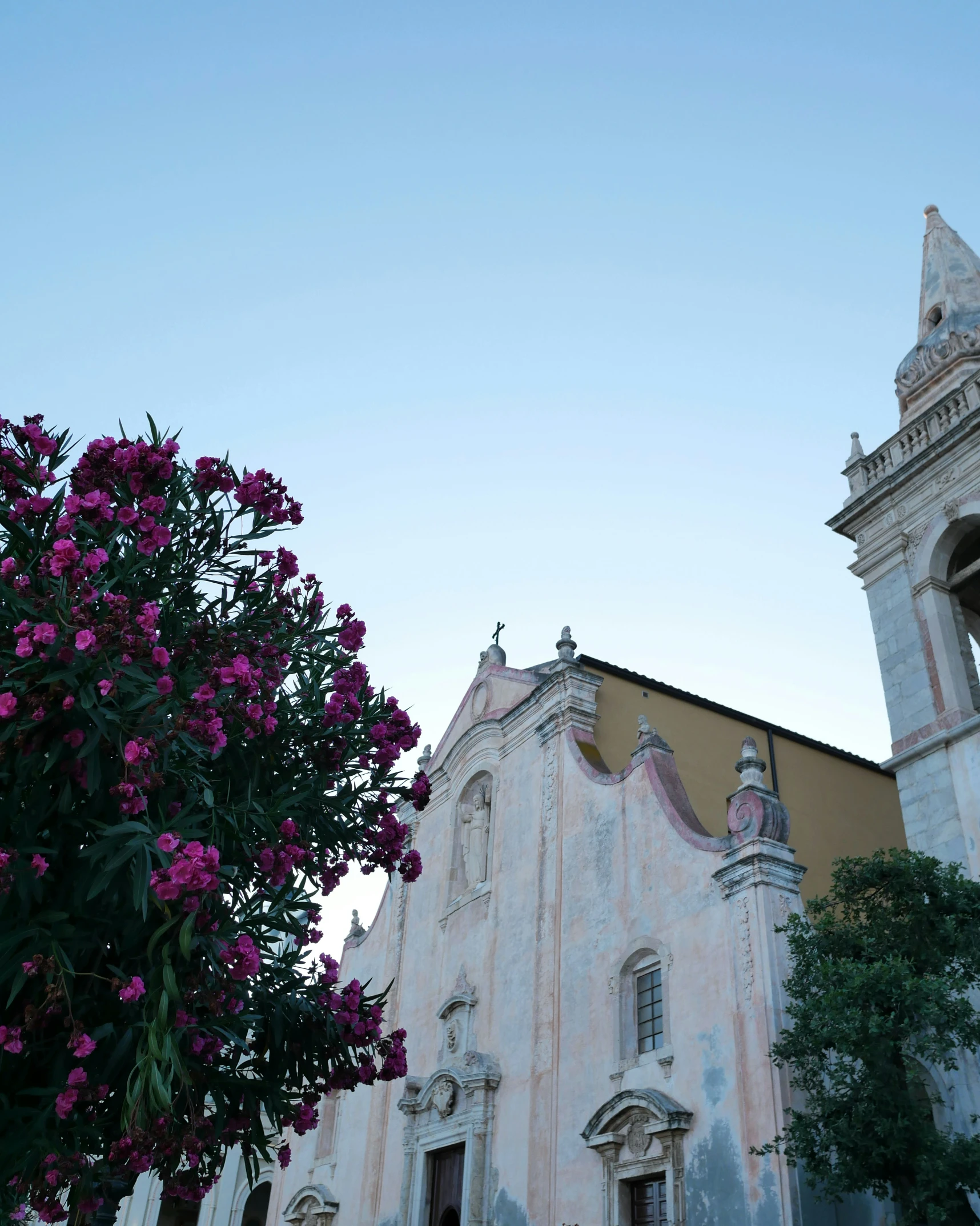 a church tower sits in the background with large purple flowers in front of it